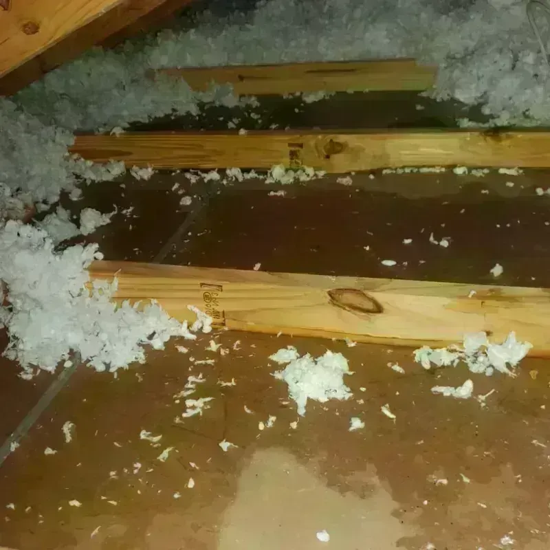 Attic Water Damage in El Paso, TX