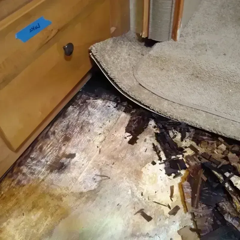 Wood Floor Water Damage in El Paso, TX